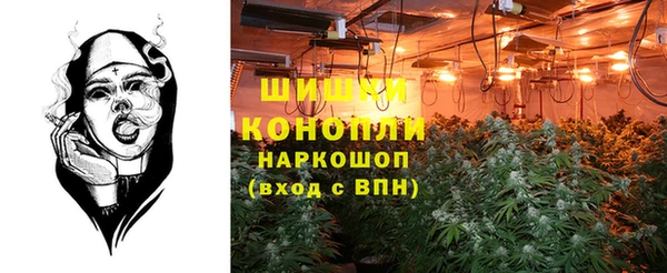 каннабис Новокубанск