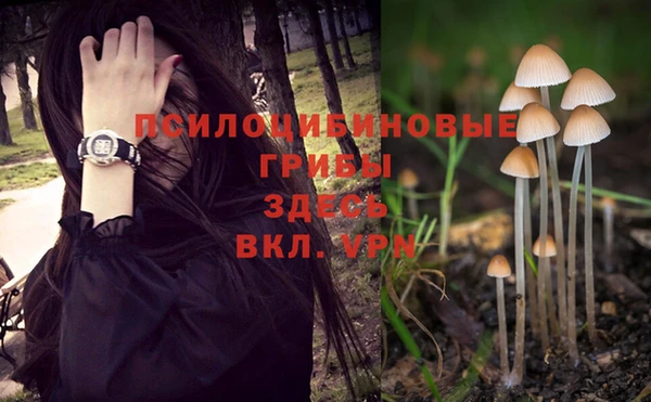 mix Новодвинск