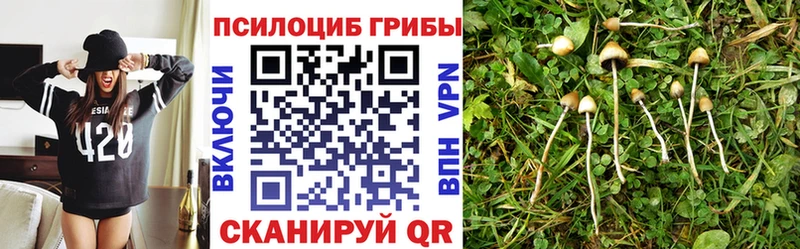 hydra зеркало  хочу наркоту  Иноземцево  Псилоцибиновые грибы GOLDEN TEACHER 
